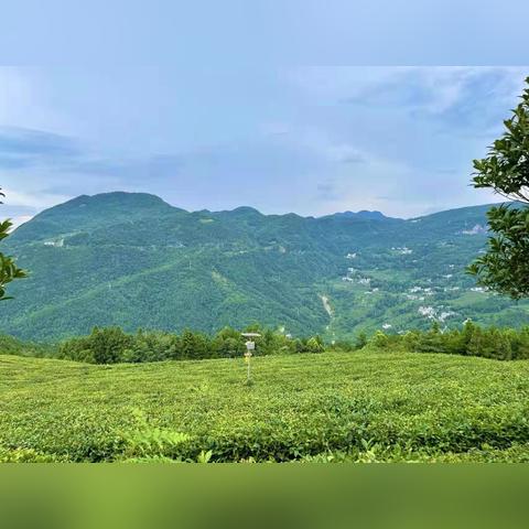 今日新塘日报最新消息新闻,新塘今日疫情