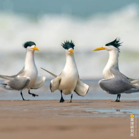 福州大海公园即将开放,全新海洋休闲娱乐场所来袭!