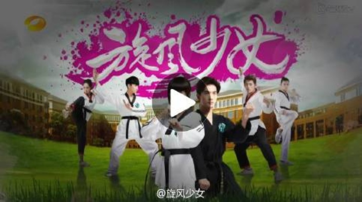 旋风少女官方手游免费下载及游戏通用激活码,多样化策略执行 专业款1_v3.234