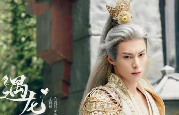 遇龙官方下载跟驰冥校服版本,专业级工具的创新力量与定制魅力